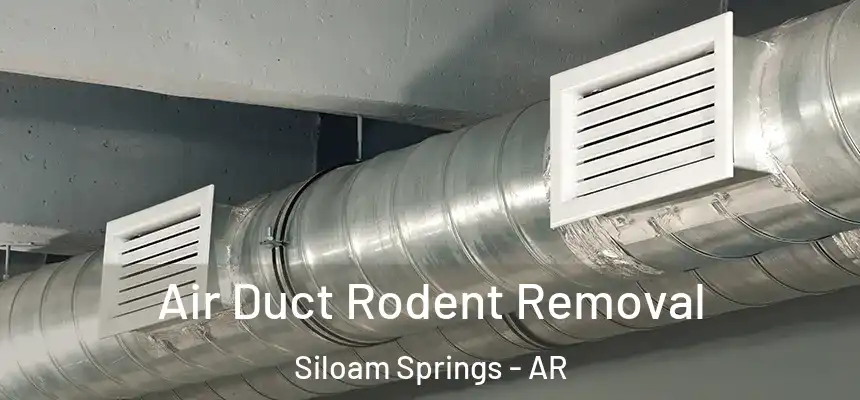  Air Duct Rodent Removal Siloam Springs - AR