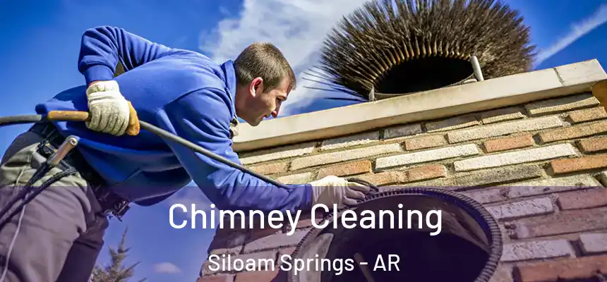  Chimney Cleaning Siloam Springs - AR