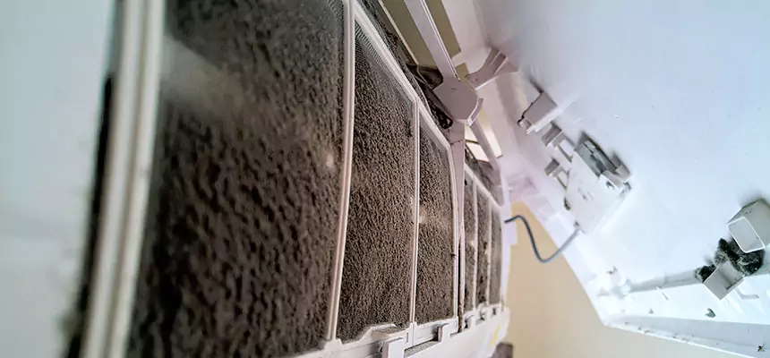 Preventive Air Duct Bacteria Removal in Siloam Springs