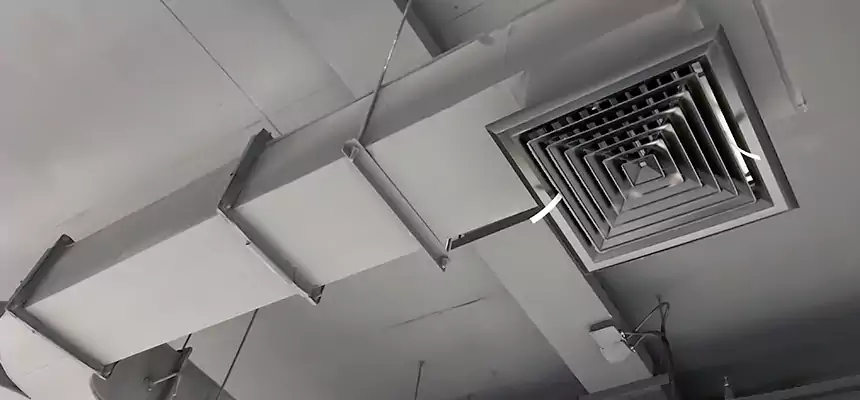 Restorative Allergy Relief Vent Cleaning – Coil, Blower & Housing Detail in Siloam Springs