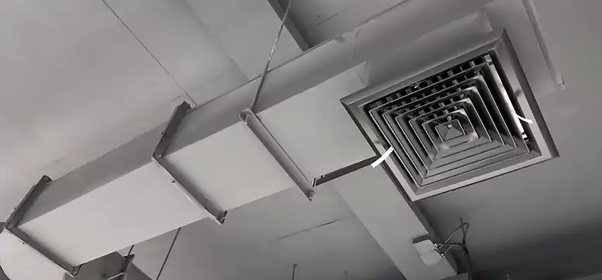 Our Pest Removal From Ducts Services in Siloam Springs, AR