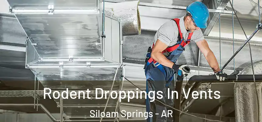  Rodent Droppings In Vents Siloam Springs - AR
