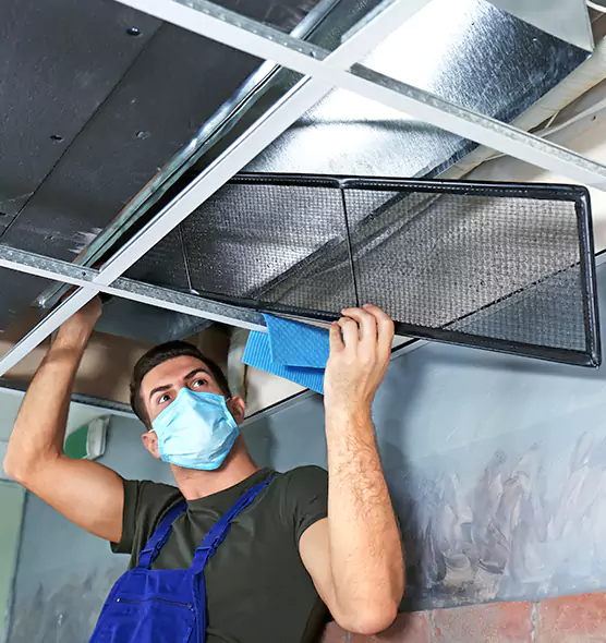 About Air Duct Bacteria Removal in Siloam Springs
