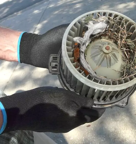 About Air Duct Mice Removal in Siloam Springs, AR