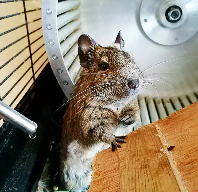 Why Homeowners & Businesses Trust Us Siloam Springs, AR?