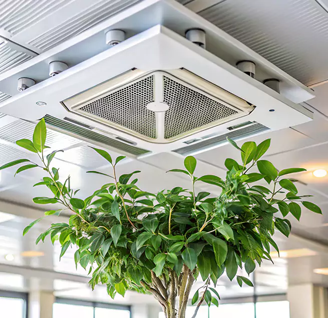 Why Homeowners & Businesses Trust Us in Siloam Springs, AR